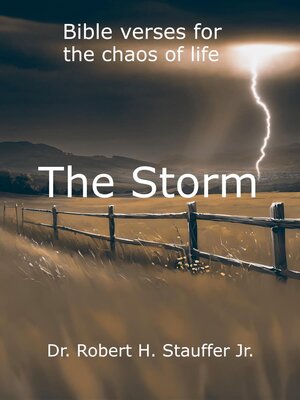cover image of The Storm